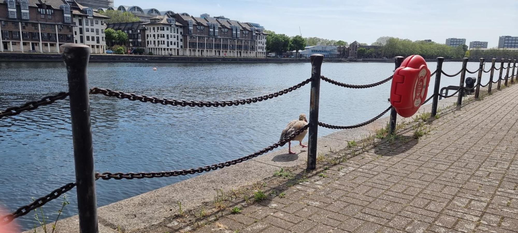 Riverside 1Br With Easy Transport 20Min To City Centre Londyn Zewnętrze zdjęcie